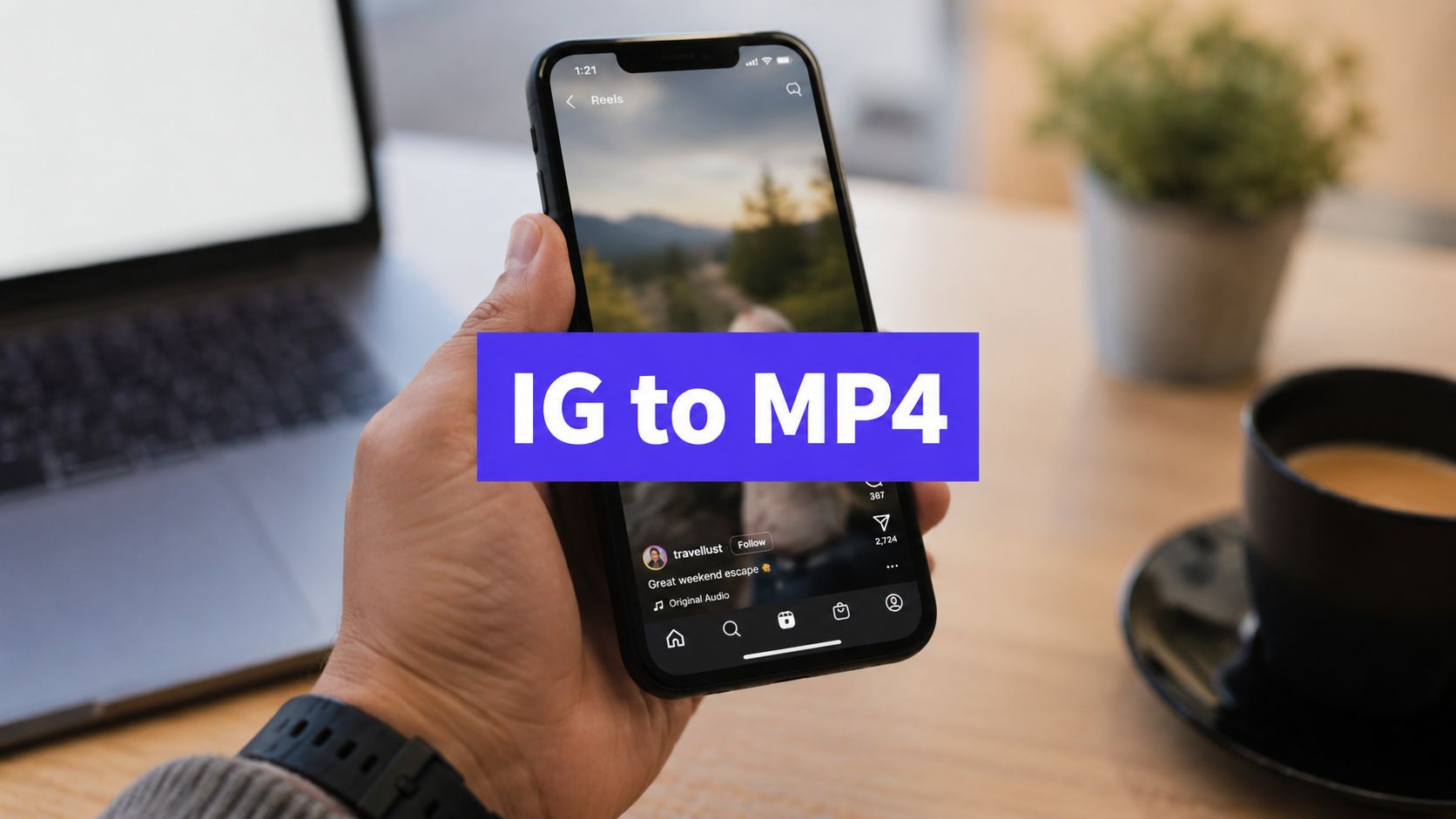How to Download IG to MP4: Reels, Stories, and Posts